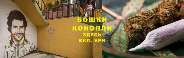 сатива Липки