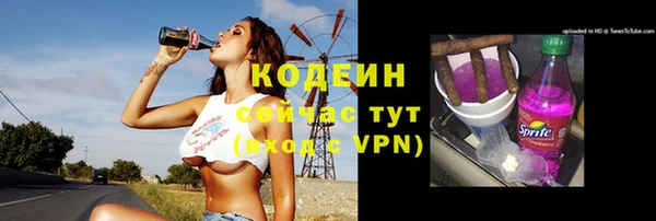 сатива Липки