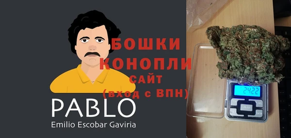 прущие грибы Лиски