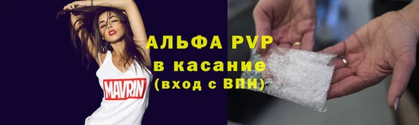 сатива Липки