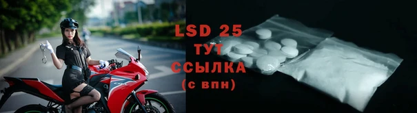 прущие грибы Лиски