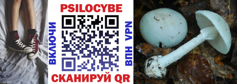 Псилоцибиновые грибы Psilocybine cubensis  Тулун 