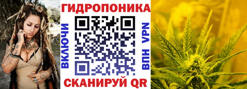 цены   кракен вход  МАРИХУАНА SATIVA & INDICA  Тулун 